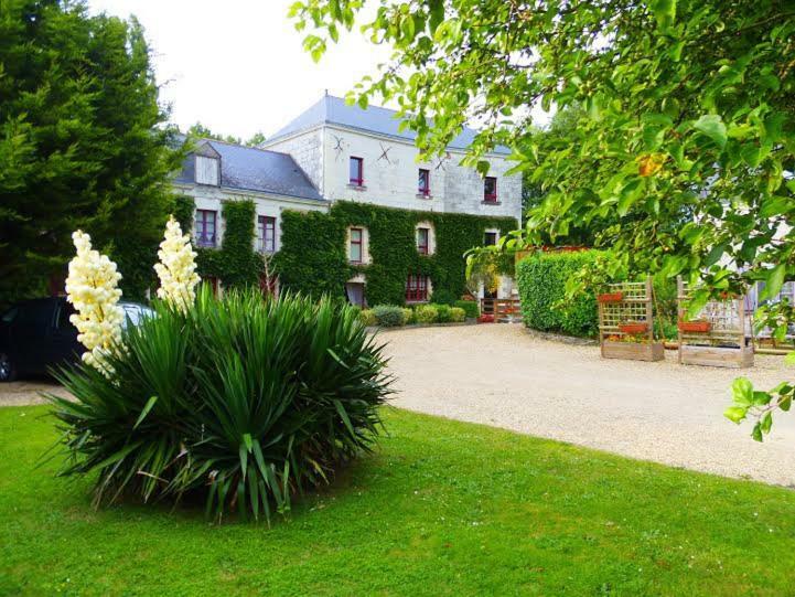 مبيت وإفطار Saint-Mélaine-sur-Aubance Moulin De Gaubourg المظهر الخارجي الصورة